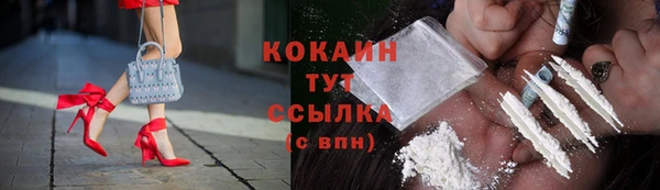 кокс Няндома