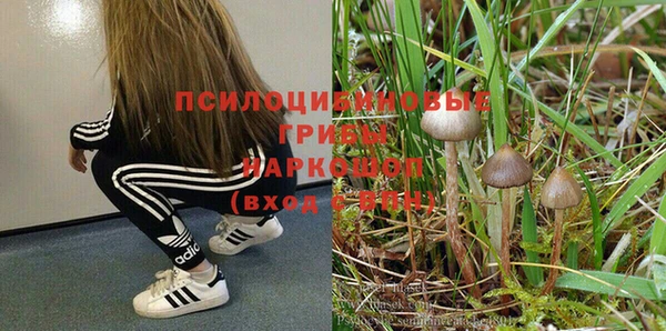 амф Нягань