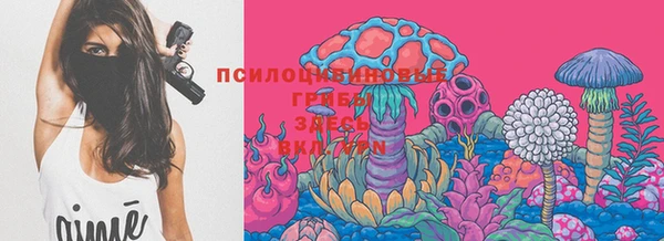 амф Нягань